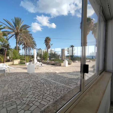 Picchio Pescoluse Marina Di Pescoluse